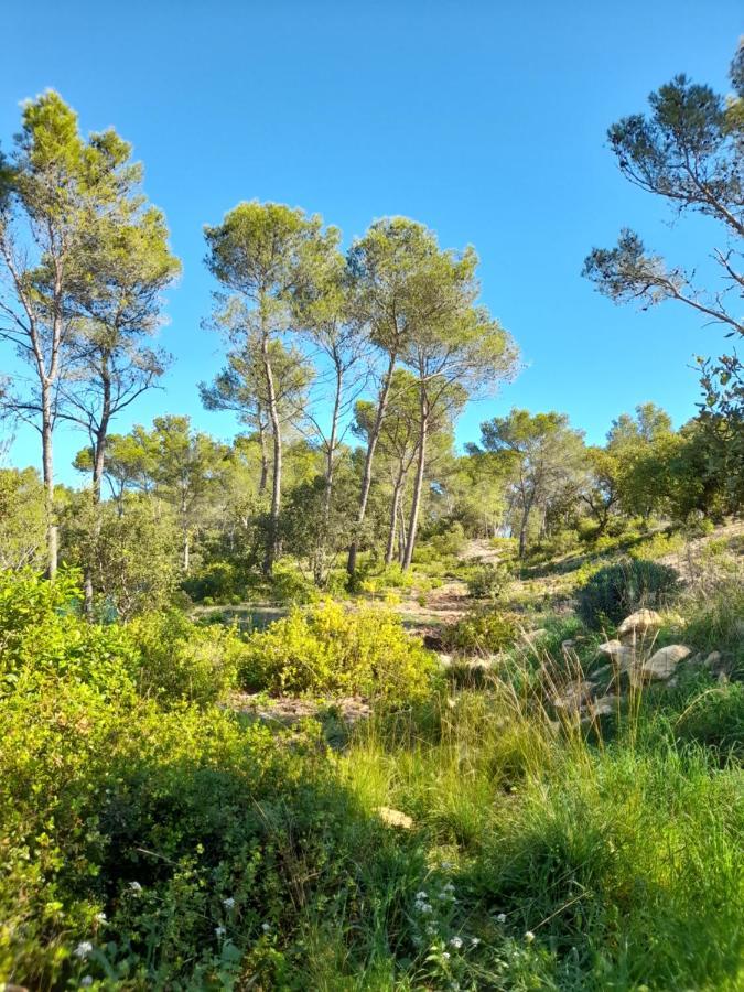 Studio Du Roc Des Garrigues Langlade Ngoại thất bức ảnh